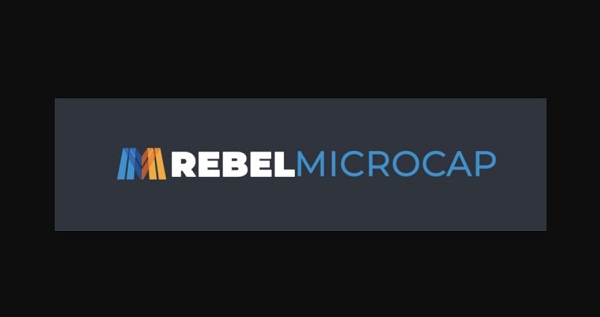 Sean Donahue – Rebel MicroCap Program Sean Donahue – Rebel MicroCap Program
