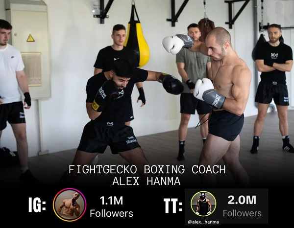 alex-hanma-fight-gecko-boxing alex-hanma-fight-gecko-boxing